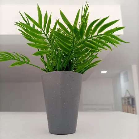 Cómodo Al Lado De La Playa De Canteras Apartamento *